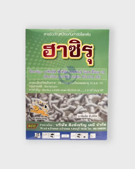 บาซิลลัส ซับทิลิส