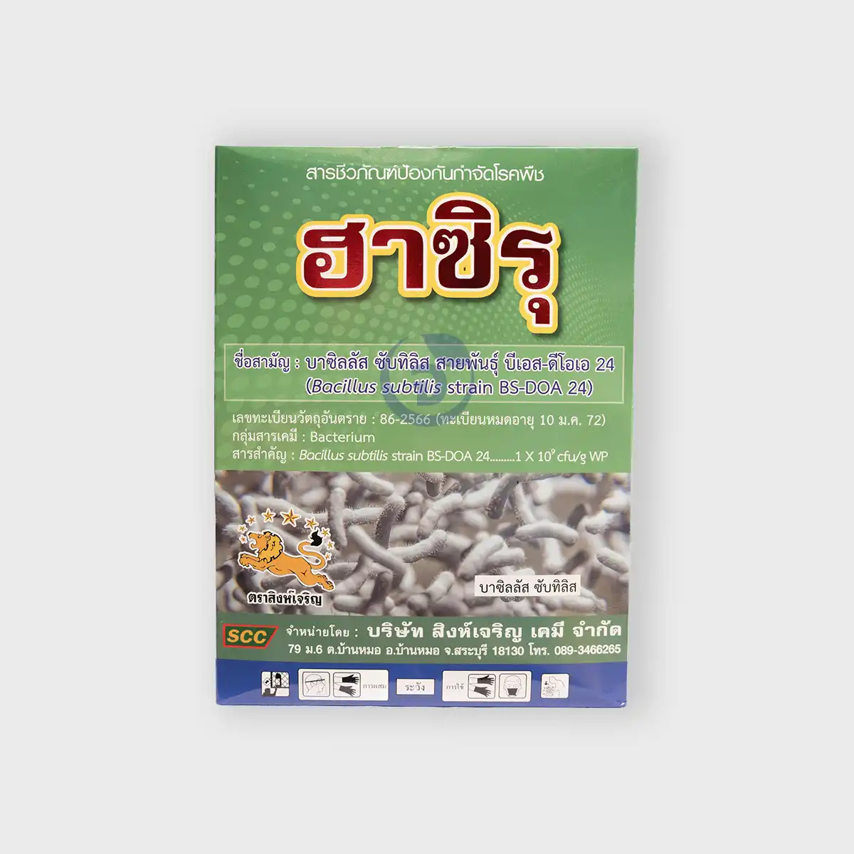 บาซิลลัส ซับทิลิส