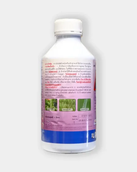 ฮาซูลอน