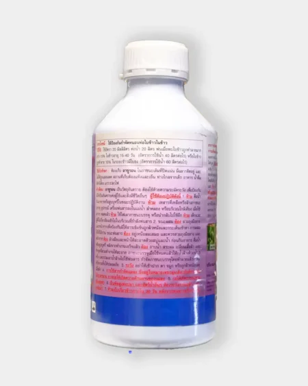 ฮาซูลอน1