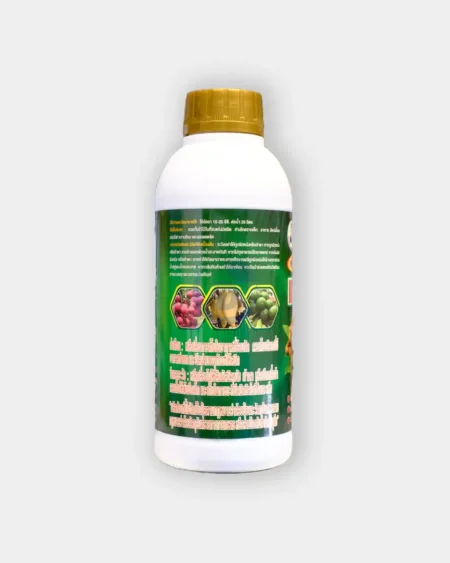 เทอร์โบเอส1