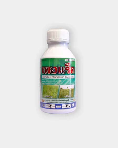 ขวดเพอแร็ค-สารกำจัดวัชพืช-ชื่อสามัญ-ควินคลอแรค-ขนาด-500-ซีซี-ฉลากสีเขียวแสดงรูปหญ้าข้าวนกและหญ้านกสีชมพู