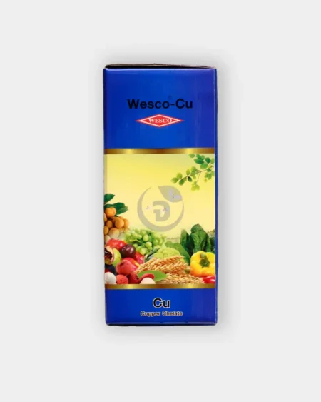 เวสโก้ ทองแดง2