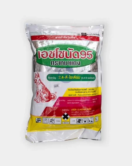 เอชโซนัด