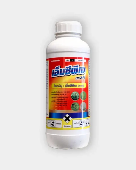 เอ็มซีพีเอ