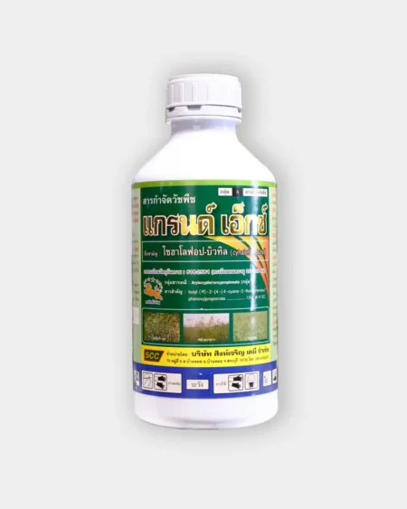 แกรนด์เอ็กซ์