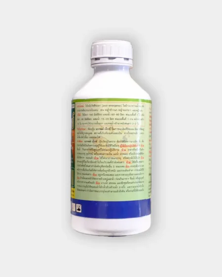 แกรนด์เอ็กซ์1