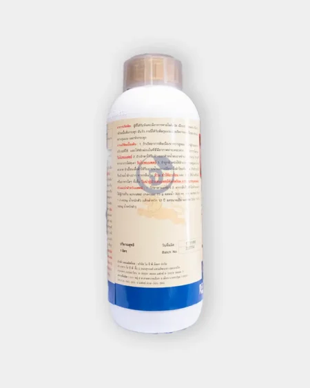 แซนเจนท์2