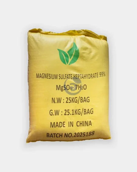 แมกนีเซียม วายวีพี1