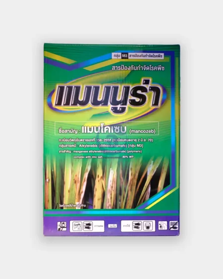 แมนนูร่า