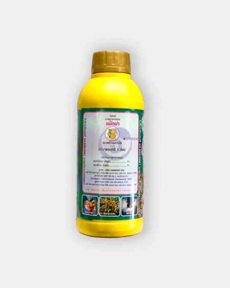 แม็กม่า1