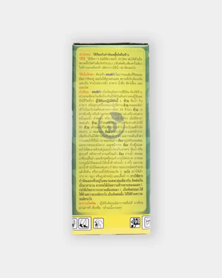 แลนติก้า1 copy