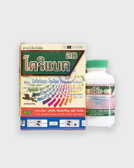 โคริแบคเพาเวอร์2