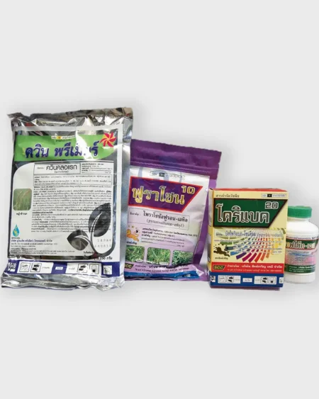 โคริแบคเพาเวอร์