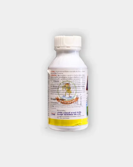 โฟร์ลอน2