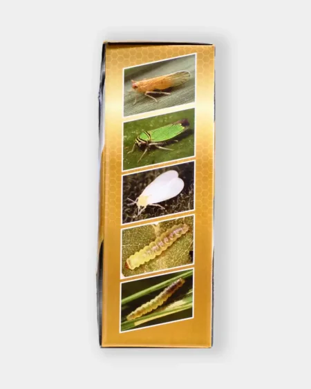 ไดนามิก2