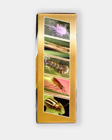 ไดนามิก3