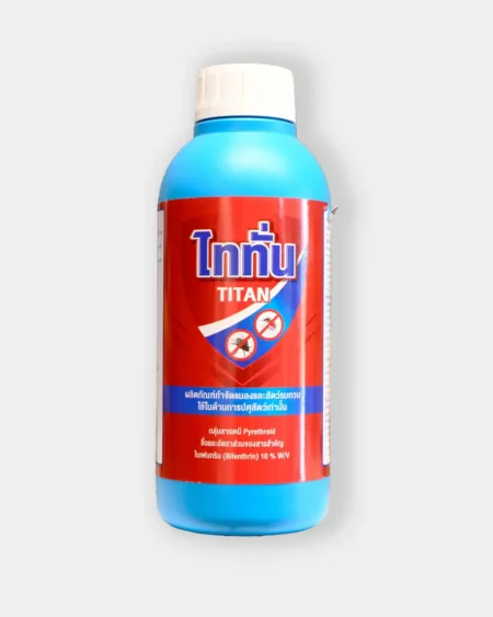 ไดนามิก4