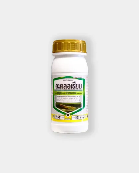 ไดนามิก5