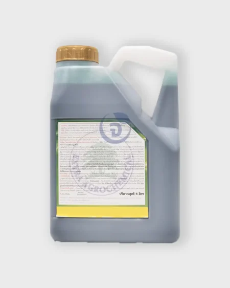 ไดรครวด