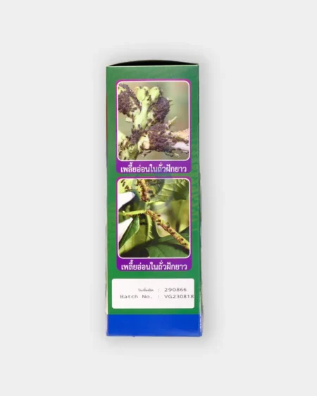 ไวทัลกรีน1