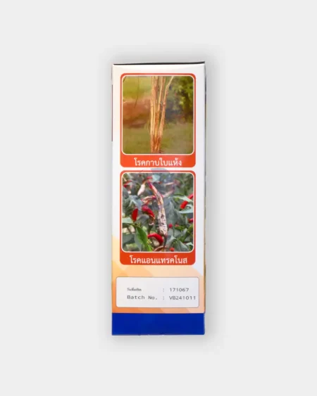 ไวทัลแบค1