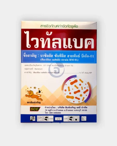 ไวทัล-แบค