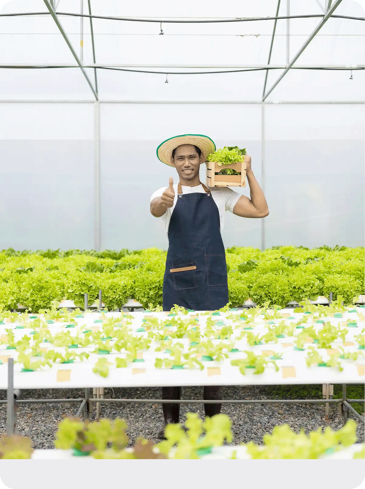 รูปคนยกนิ้ว ขอบมน