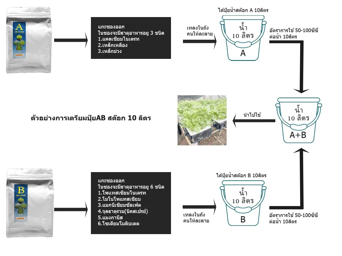 วิธีผสมปุ๋ย AB แบบผง และการเตรียมสต๊อกปุ๋ย 10 ลิตร