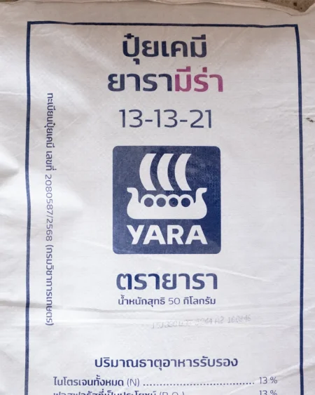 13 13 21 ยารามีร่า2