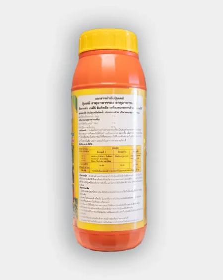 ซิงพลัส1