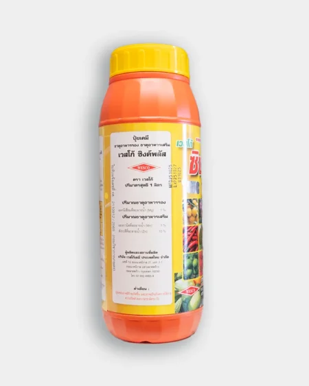 ซิงพลัส2